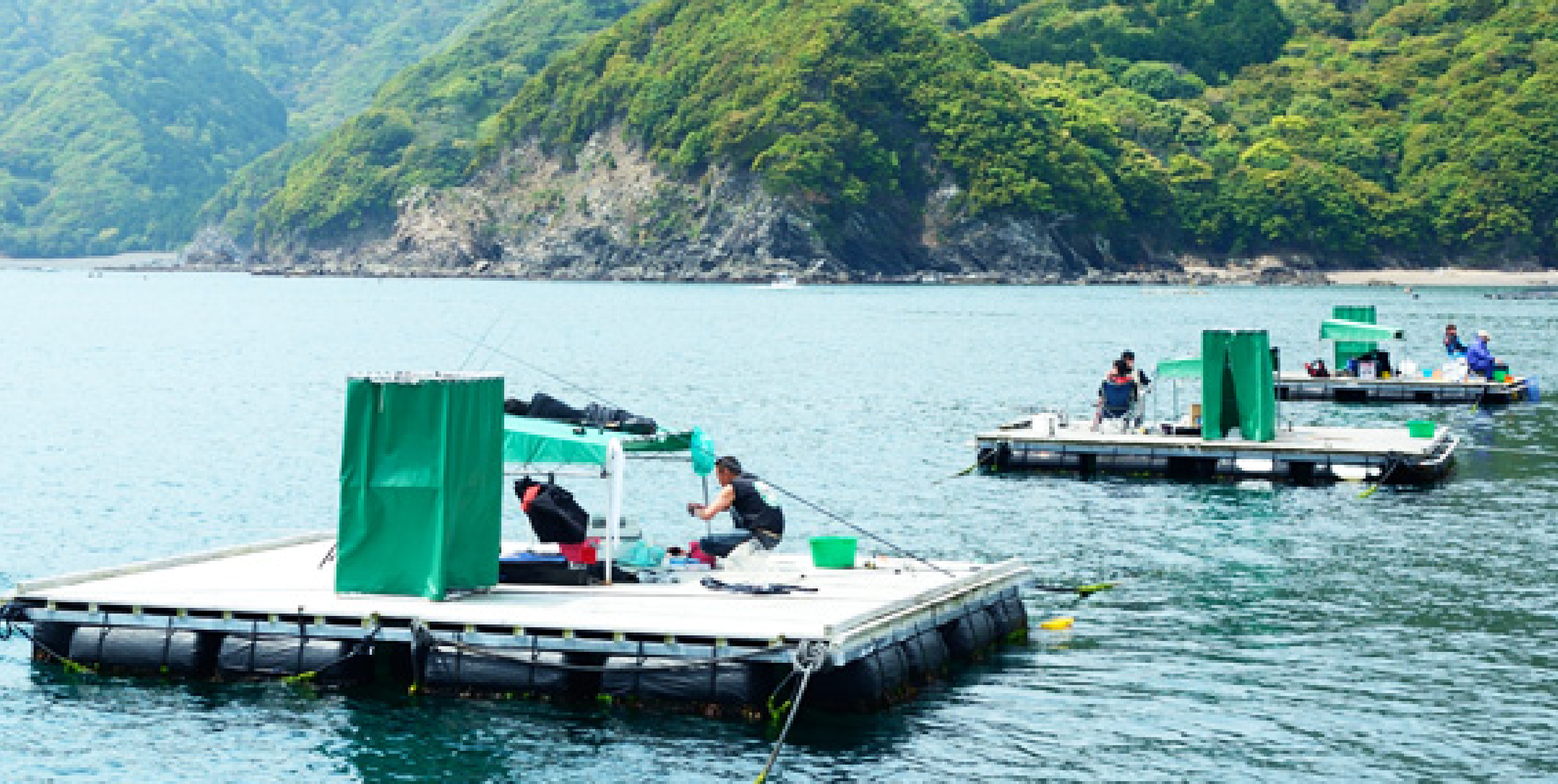 観る 大紀町地域活性化協議会 大紀町の自然 文化を体験しよう